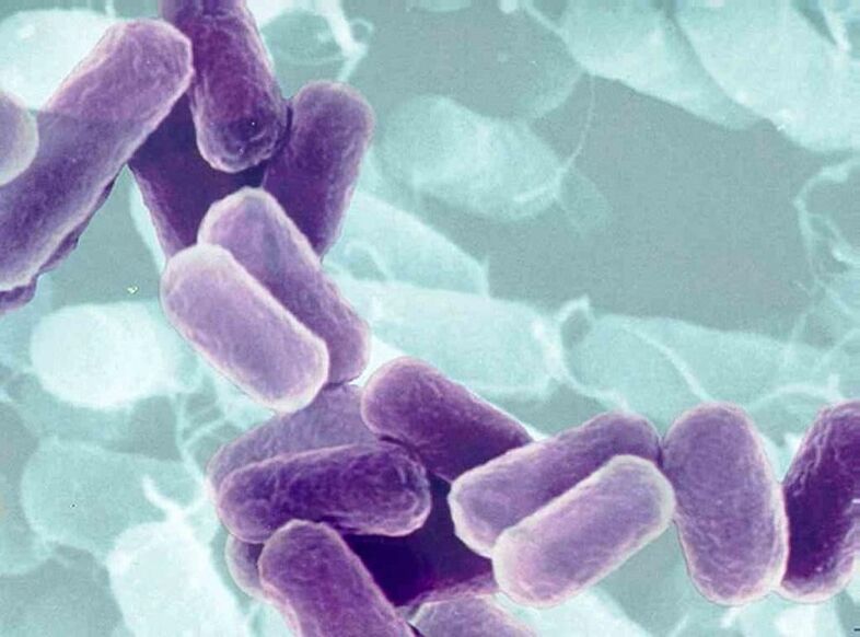 Prostatite Agents causaux chez les hommes atteints de maladies de transmission sexuelle